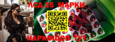 apvp Можга